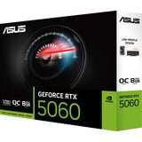 ASUS GeForce RTX 5060 LP BRK OC 8 GB, Grafikkarte DLSS 4, 1x DisplayPort, 2x HDMI 2.1
