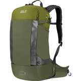 Jack Wolfskin PHANTASY 22.5 LT, Rucksack grün