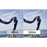 Lenovo ThinkVision T24D-40, LED-Monitor 60.5 cm (23.8 Zoll), schwarz, FullHD, IPS, DP, HDMI, USB-Hub, Daisy-Chain, 120Hz Panel