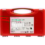 fischer Meister-Box XL Universal , Dübel hellgrau, 290-teilig