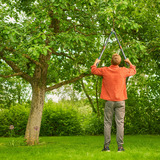 GARDENA Astschere TeleCut Pro L grau/türkis, 65cm - 90cm