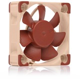 Noctua NF-A4x10 24V PWM, Gehäuselüfter braun/beige, 40 mm