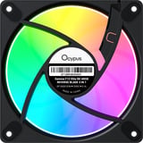 Ocypus Gamma F12 Elite ARGB, Gehäuselüfter schwarz, Reverse, 3er Pack, 120 mm