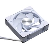 Phanteks D30-120 PWM Reverse DRGB, Gehäuselüfter weiß, 120 mm