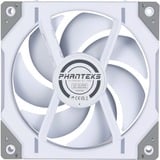 Phanteks D30-120 PWM Reverse DRGB, Gehäuselüfter weiß, 120 mm