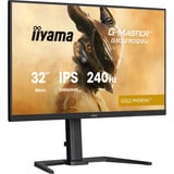 iiyama G-Master GB3290QSU-B1 Gold-Phoenix, Gaming-Monitor 80 cm (31.5 Zoll), schwarz (matt), QHD, IPS, Free-Sync-Premium, 240Hz Panel