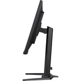 iiyama G-Master GB3290QSU-B1 Gold-Phoenix, Gaming-Monitor 80 cm (31.5 Zoll), schwarz (matt), QHD, IPS, Free-Sync-Premium, 240Hz Panel