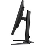 iiyama G-Master GB3290QSU-B1 Gold-Phoenix, Gaming-Monitor 80 cm (31.5 Zoll), schwarz (matt), QHD, IPS, Free-Sync-Premium, 240Hz Panel