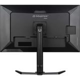 iiyama G-Master GB3290QSU-B1 Gold-Phoenix, Gaming-Monitor 80 cm (31.5 Zoll), schwarz (matt), QHD, IPS, Free-Sync-Premium, 240Hz Panel