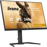 iiyama G-Master GB3290QSU-B1 Gold-Phoenix, Gaming-Monitor 80 cm (31.5 Zoll), schwarz (matt), QHD, IPS, Free-Sync-Premium, 240Hz Panel