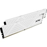 ADATA DIMM 16 GB DDR4-3200 (2x 8 GB) Dual-Kit	, Arbeitsspeicher weiß, AX4U32008G16A-DTWHD35, XPG Gammix D35, INTEL XMP