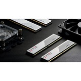 G.Skill DIMM 32 GB DDR5-5600 (2x 16 GB) Dual-Kit, Arbeitsspeicher weiß, F5-5600J4040C16GX2-RS5W, Ripjaws S5, INTEL XMP