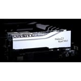 G.Skill DIMM 48 GB DDR5-8000 (2x 24 GB) Dual-Kit, Arbeitsspeicher silber, F5-8000J4048G24GX2-TR5NS, Trident Z5 Royal Neo, AMD EXPO