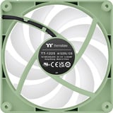 Thermaltake CT120 Reverse ARGB Sync PC Cooling Fan Matcha Green, Gehäuselüfter hellgrün, 2er Pack, ohne Controller, Reverse, 120 mm