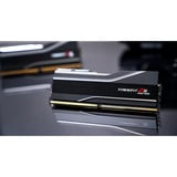G.Skill DIMM 128 GB DDR5-6000 (2x 64 GB) Dual-Kit, Arbeitsspeicher schwarz, F5-6000J3644D64GX2-TZ5NR, TZ5 Neo, INTEL XMP, AMD EXPO