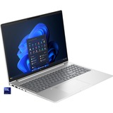 HP EliteBook 665 G11 (9C0H5EA), Notebook silber, AMD Ryzen 5 7535U, AMD Radeon 660M, 8 GB DDR5, 256 GB (256 GB SSD), Windows 11 Pro 64-Bit