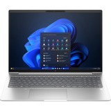 HP EliteBook 665 G11 (9C0H5EA), Notebook silber, AMD Ryzen 5 7535U, AMD Radeon 660M, 8 GB DDR5, 256 GB (256 GB SSD), Windows 11 Pro 64-Bit