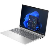 HP EliteBook 665 G11 (9C0H5EA), Notebook silber, AMD Ryzen 5 7535U, AMD Radeon 660M, 8 GB DDR5, 256 GB (256 GB SSD), Windows 11 Pro 64-Bit