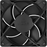 ARCTIC P14 Pro PST, Gehäuselüfter schwarz, 5er Pack, 140 mm