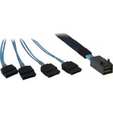 Inter-Tech Kabel SFF 8643 > 4x SATA schwarz/blau, 0,7 Meter, Crossover
