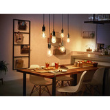 Philips HUE  White Filament Lampe E27 Giant Globe G125 550 lm, LED-Lampe 