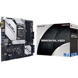 Biostar B560M-SILVER V5.0, Mainboard