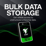 Seagate Exos 7E10 10 TB, Festplatte SATA 6 Gb/s, 3,5"