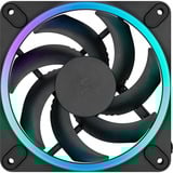 Fractal Design Momentum 12 RGB, Gehäuselüfter schwarz, 3er Pack, 120 mm