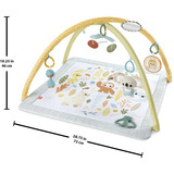 Fisher-Price Fisher-Price Simply Senses Sensorische Erlebnisdecke, Spielbogen/Decke 