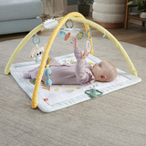 Fisher-Price Fisher-Price Simply Senses Sensorische Erlebnisdecke, Spielbogen/Decke 