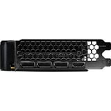 Palit GeForce RTX 5050 Dual 8GB, Grafikkarte DLSS 4, 3x DisplayPort, 1x HDMI 2.1