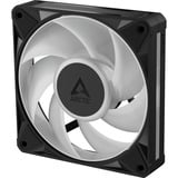 ARCTIC BioniX P12 A-RGB, Gehäuselüfter schwarz/weiß, 120 mm