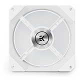 EKWB EK-Quantum Impulse 120 D-RGB - White, Gehäuselüfter weiß