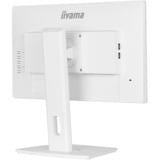 iiyama ProLite XUB2292HSU-W6, LED-Monitor 55 cm (22 Zoll), weiß (matt), FullHD, IPS, AMD Free-Sync, 100Hz Panel