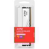 ADATA DIMM 32 GB DDR5-5600 (1x 32 GB), Arbeitsspeicher weiß, AX5U5600C4632G-SLABWH, XPG Lancer Blade, INTEL XMP, AMD EXPO