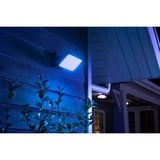 Philips HUE White & Color Ambiance Discover Flutlicht, LED-Leuchte schwarz
