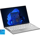 Razer Book 13 (RZ09-0357MGM3-R3G1), Notebook silber, Windows 11 Home 64-Bit, 1 TB SSD