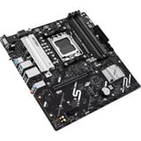 ASUS PRIME A620AM-A-CSM, Mainboard 
