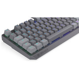 ENDORFY Thock V2 TKL, Gaming-Tastatur grau, DE-Layout, ENDORFY Red