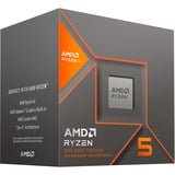 AMD Ryzen™ 5 8600G, Prozessor Boxed-Version