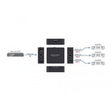 DeLOCK S/PDIF TOSLINK Splitter 1 In 3 Out, mit USB Stromversorgung, Splitter & Switches schwarz