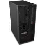Lenovo ThinkStation P2 Tower Gen 2 (30JQ003UGE), PC-System schwarz, Windows 11 Pro