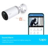 TP-Link Tapo C400S2, Überwachungskamera weiß, 2x Kamera, 1x Hub