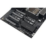 ASUS PRO WS W890-SAGE, Mainboard 