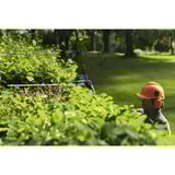 Bosch Akku-Heckenschere GHE 18V-50FP Professional solo, 18Volt blau/schwarz, ohne Akku und Ladegerät