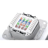 Digitus CAT.6A Datenanschlussdose, Aufputz, geschirmt, 2x RJ-45 LSA weiß, 5 Stück, Klasse E