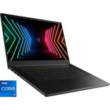 Razer Blade 15 (RZ09-0409AGD3-R3G1), Gaming-Notebook schwarz, Windows 10 Home 64-Bit, 240 Hz Display
