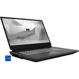 Schenker DTR 17 (10506049), Notebook schwarz, Windows 10 Pro 64-Bit, 60 Hz Display