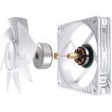 ASUS ProArt PF120, Gehäuselüfter weiß, 3er Pack, 120 mm