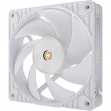 ASUS ProArt PF120, Gehäuselüfter weiß, 3er Pack, 120 mm